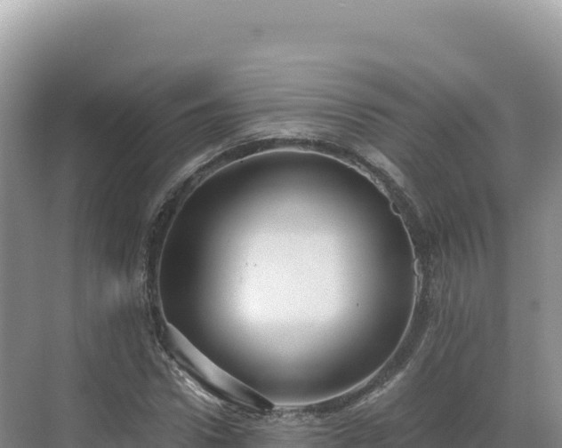 X0000071380922200606301806