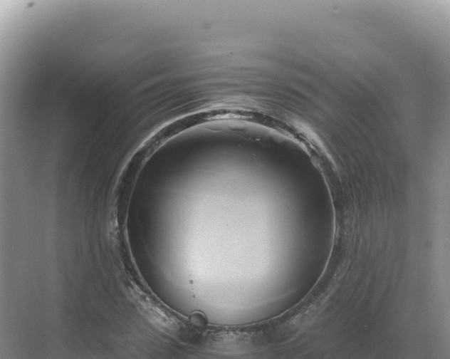 X0000071380923200606301806