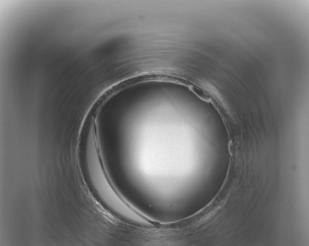 X0000071380924200606301806