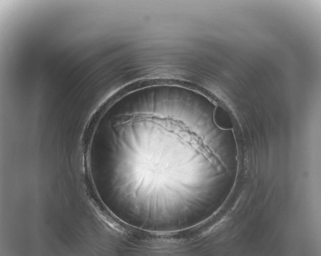 X0000071380925200606301806