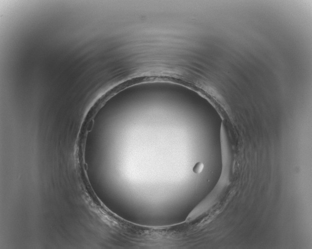 X0000071380928200606301806