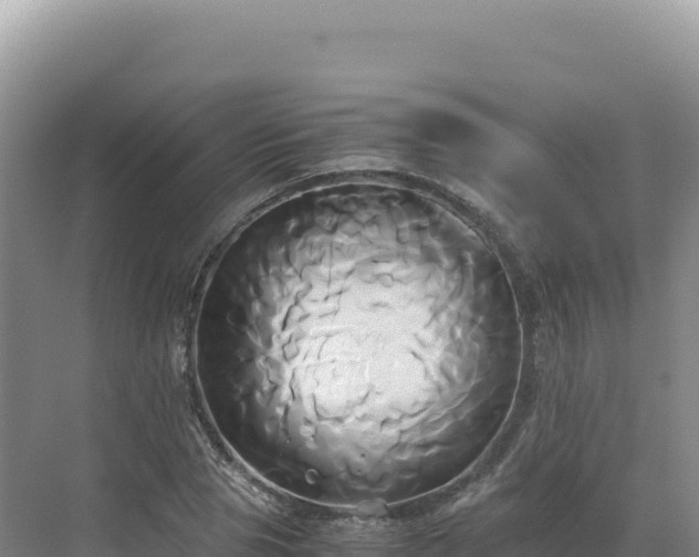 X0000071380929200606301806