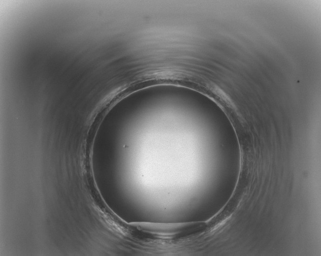 X0000071380930200606301806