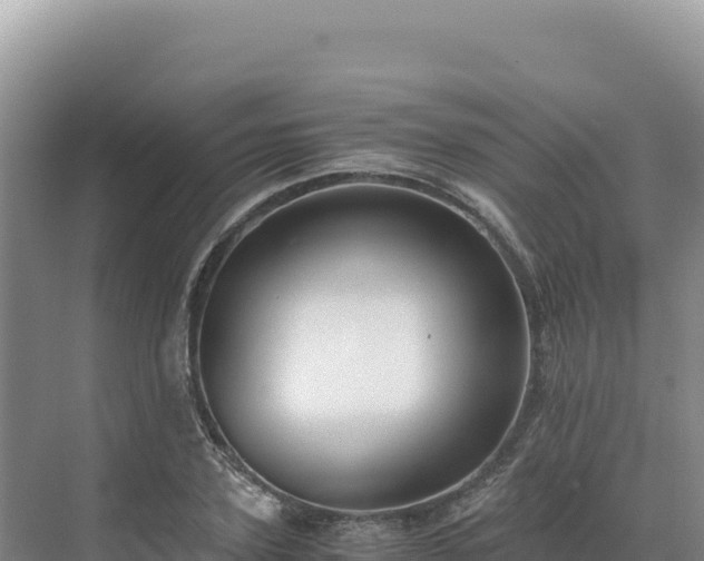 X0000071380931200606301806