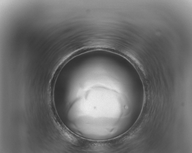 X0000071380933200606301806