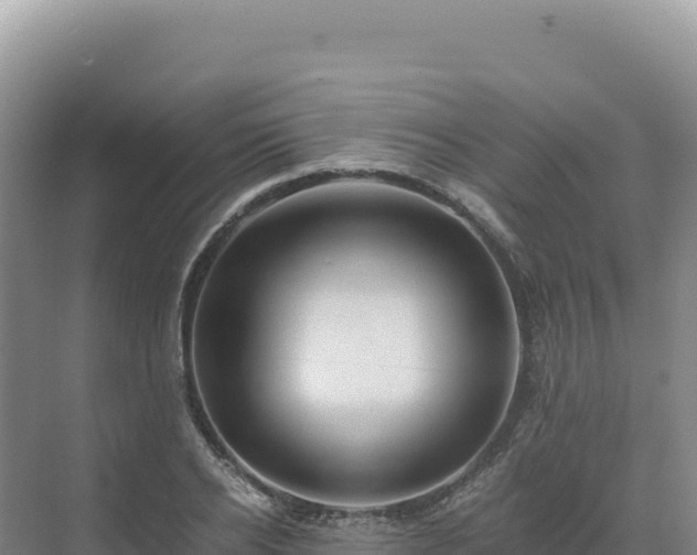 X0000071380934200606301806