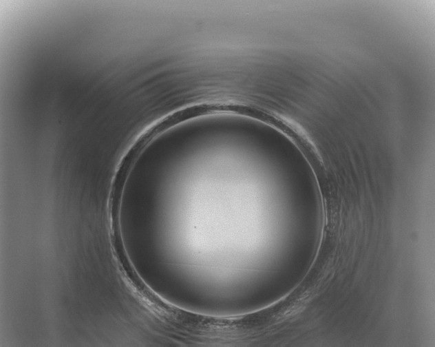 X0000071380935200606301806