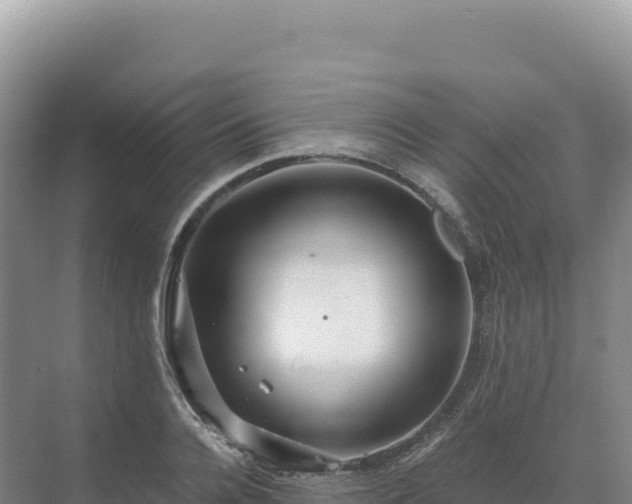 X0000071380936200606301806