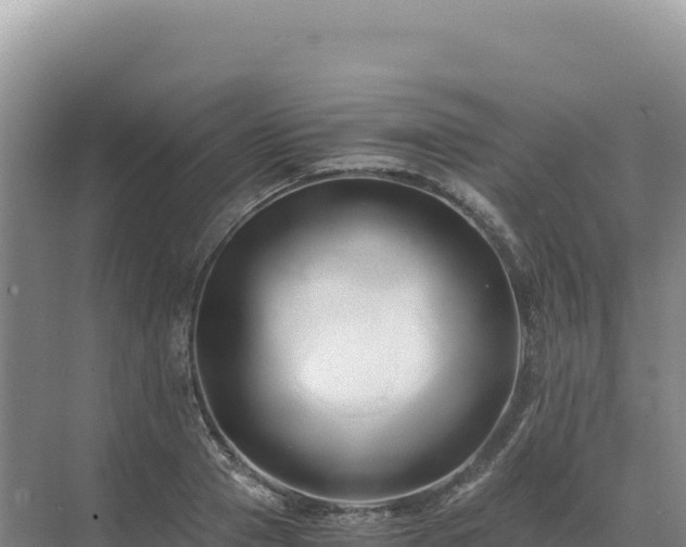 X0000071380937200606301806