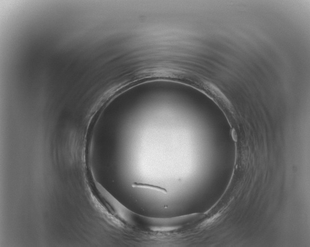 X0000071380938200606301806