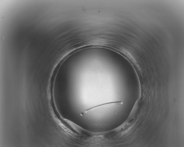 X0000071380939200606301806