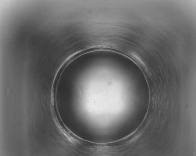 X0000071380940200606301806