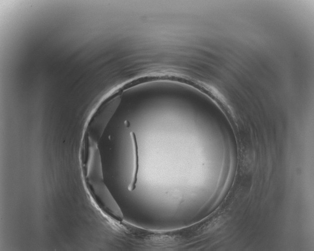 X0000071380943200606301806