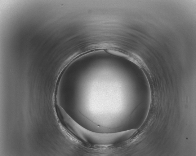 X0000071380946200606301806