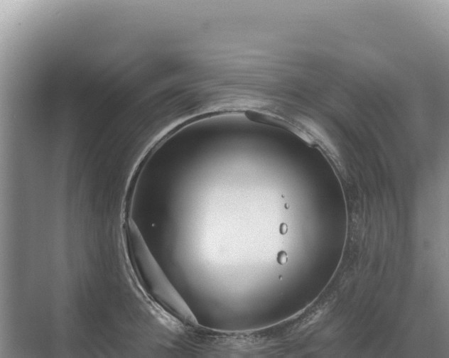 X0000071380948200606301806