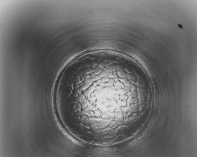 X0000071380949200606301806