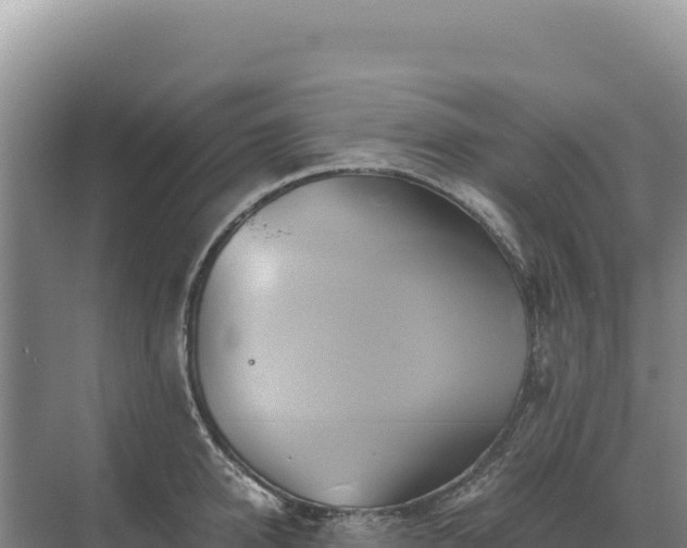 X0000071380950200606301806