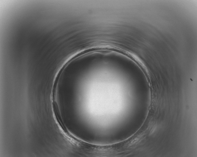 X0000071380951200606301806