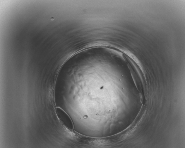 X0000071380953200606301806