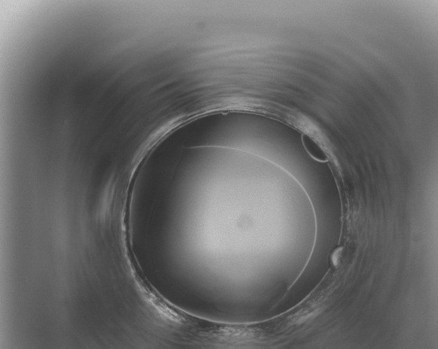 X0000071380954200606301806