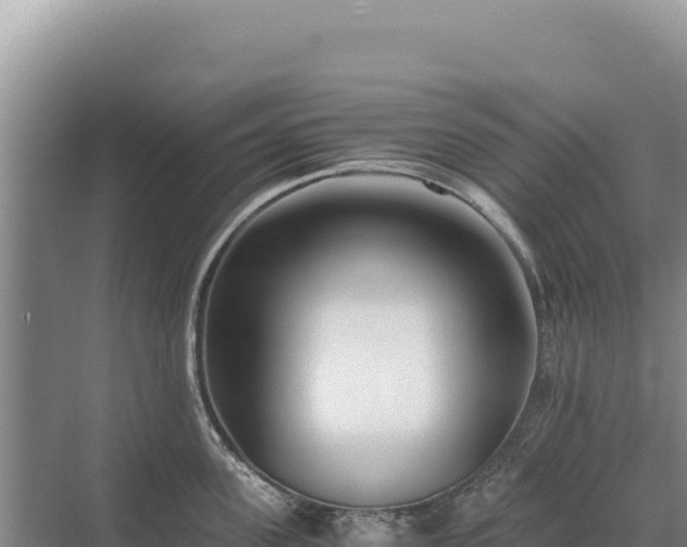 X0000071380955200606301806