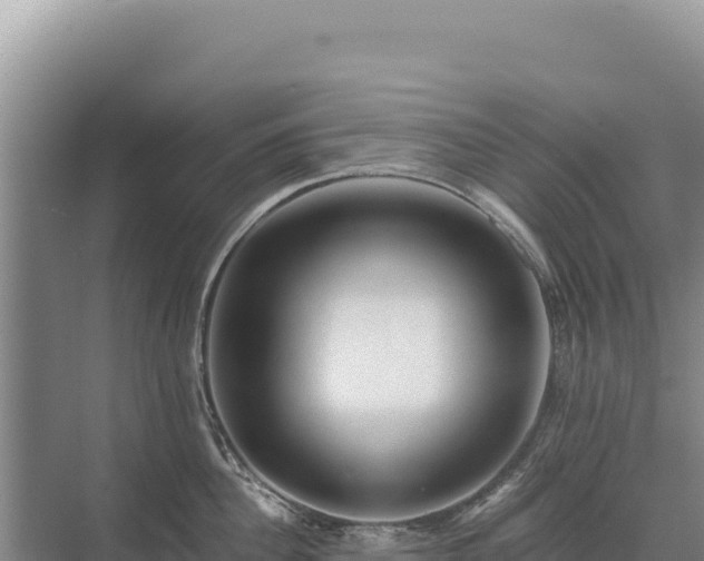 X0000071380956200606301806