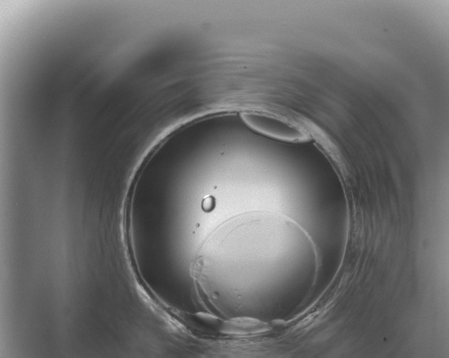 X0000071380958200606301806