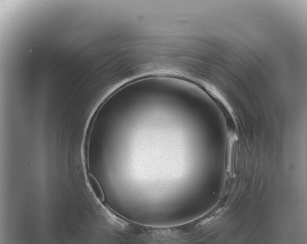 X0000071380959200606301806