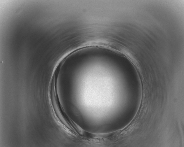 X0000071380960200606301806