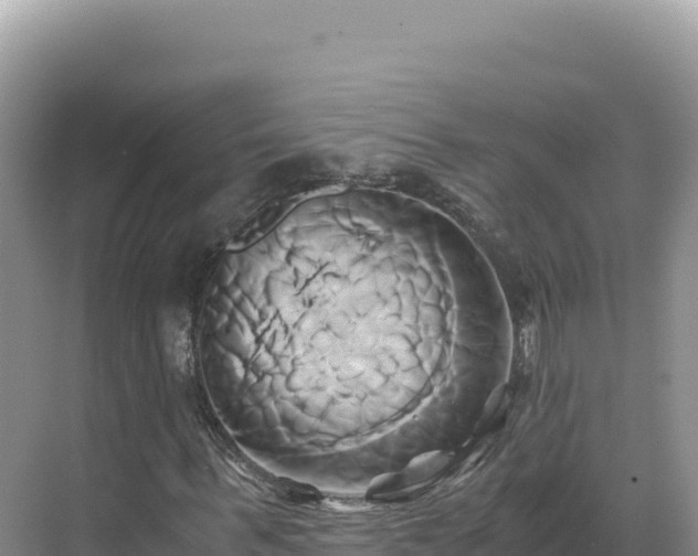 X0000071380963200606301806