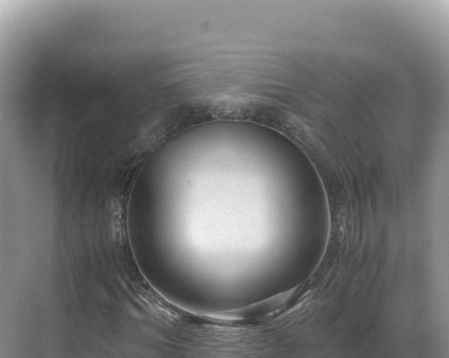 X0000071380964200606301805