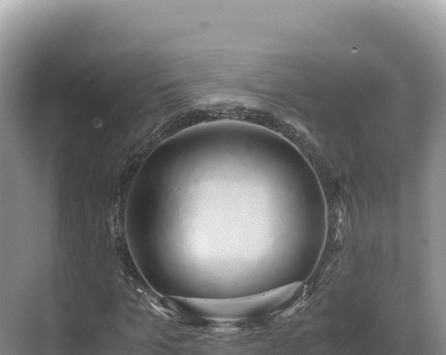 X0000071380965200606301805