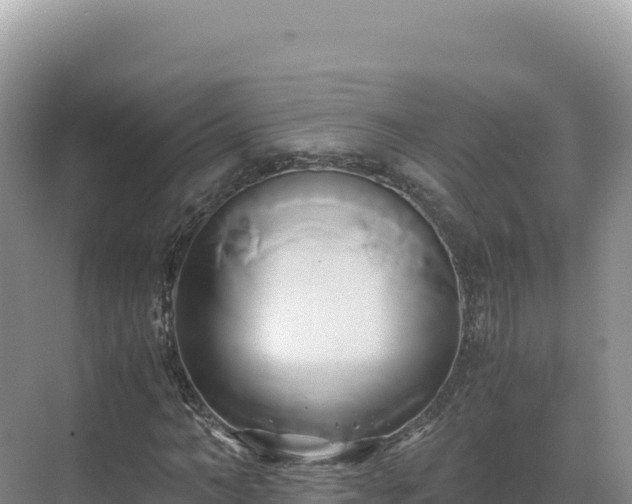 X0000071380966200606301805