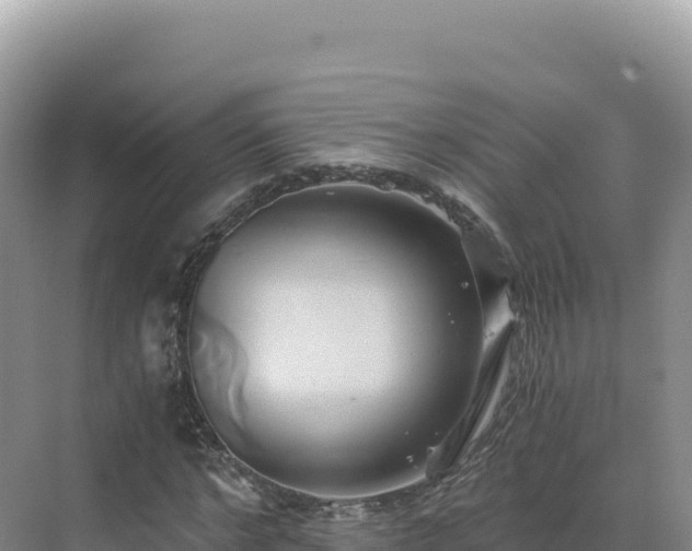 X0000071380968200606301805