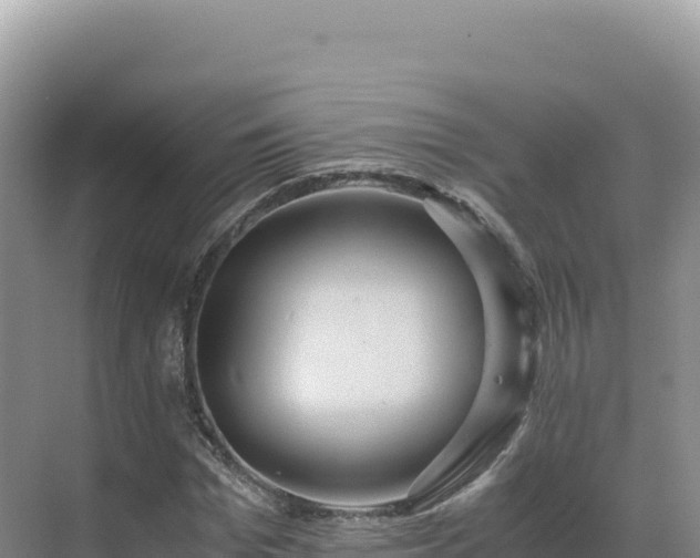 X0000071380969200606301805