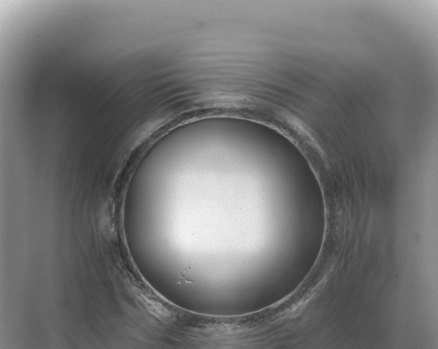 X0000071380970200606301805