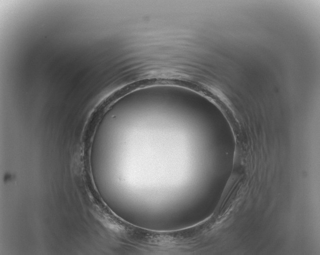 X0000071380971200606301805