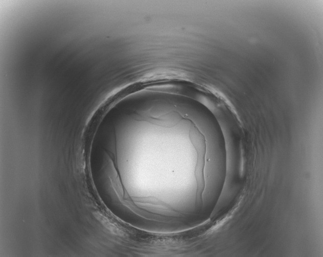 X0000071380973200606301805