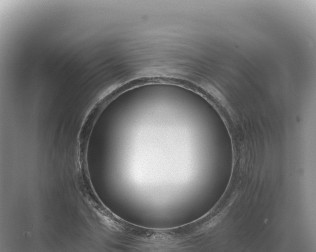 X0000071380974200606301805