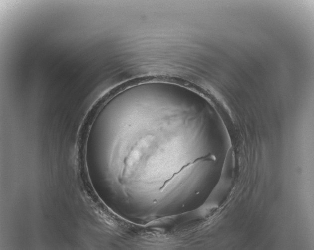 X0000071380975200606301805