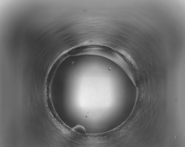 X0000071380976200606301805