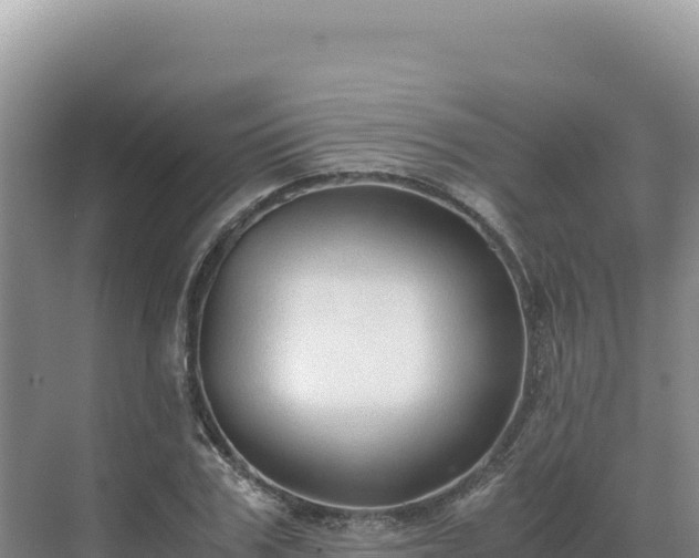 X0000071380979200606301805