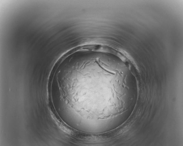 X0000071380980200606301805