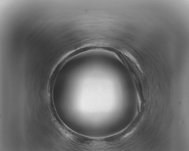 X0000071380981200606301805