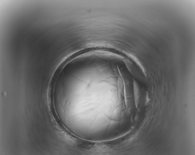 X0000071380983200606301805