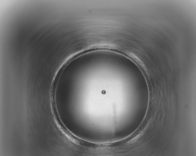 X0000071380989200606301805