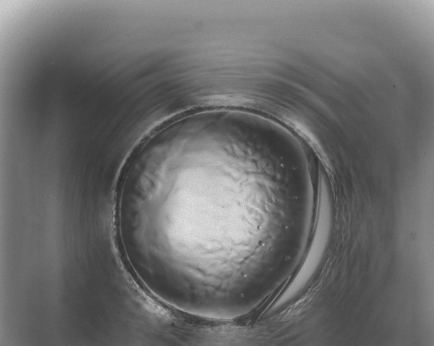 X0000071380992200606301805