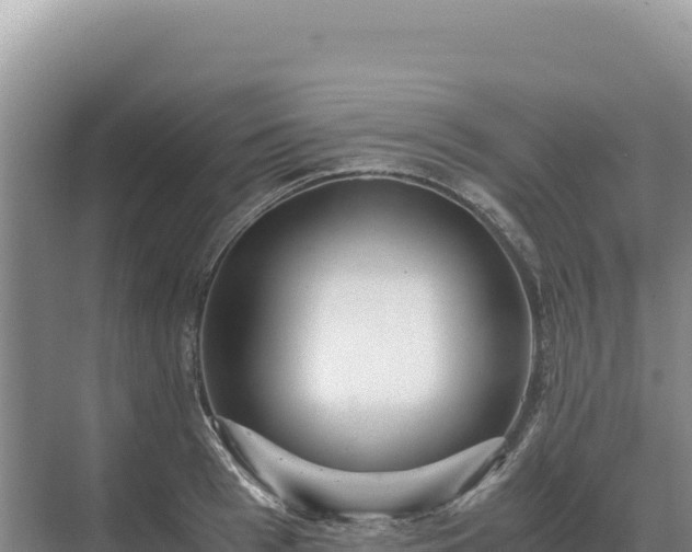 X0000071380993200606301805