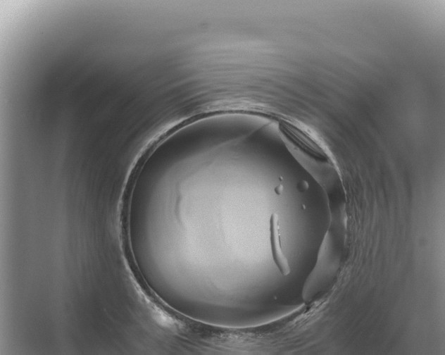 X0000071380995200606301805