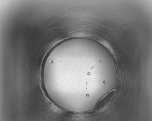 X0000071381000200606301805